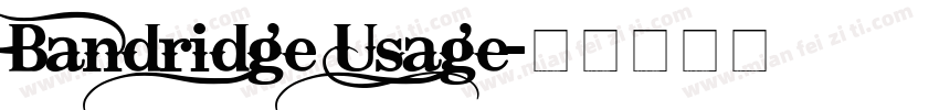 Bandridge Usage字体转换